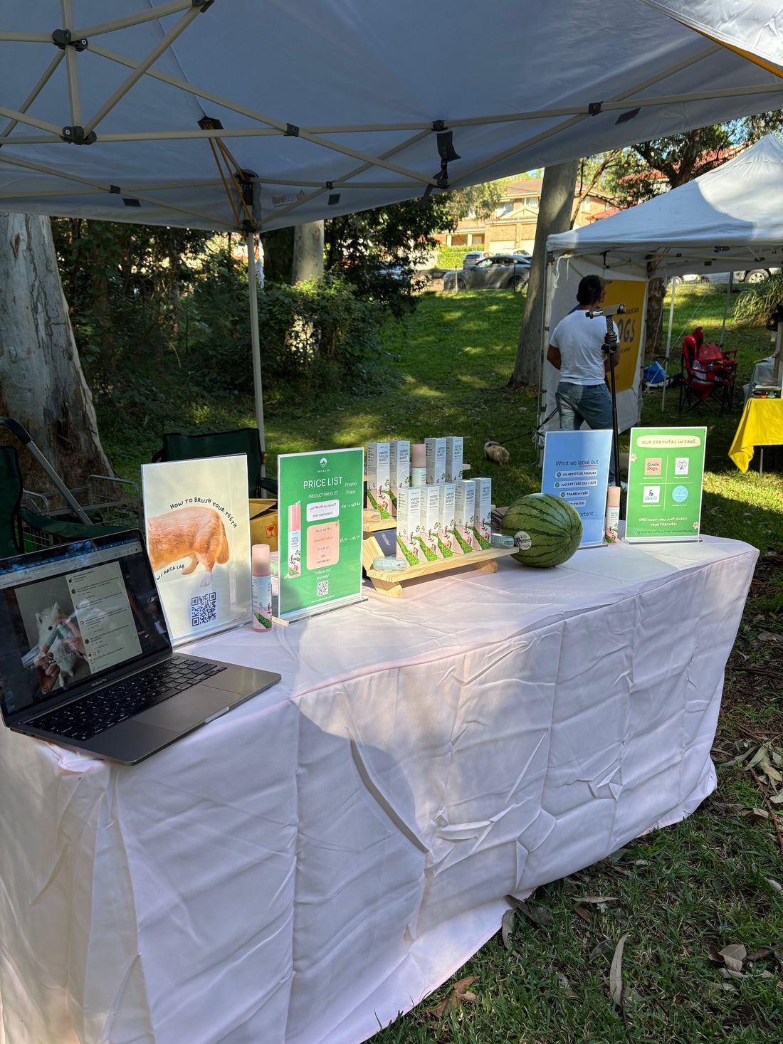 Arca Lab at the Street Paws Festival: A Day of Smiles, Wagging Tails & Fresh Breath