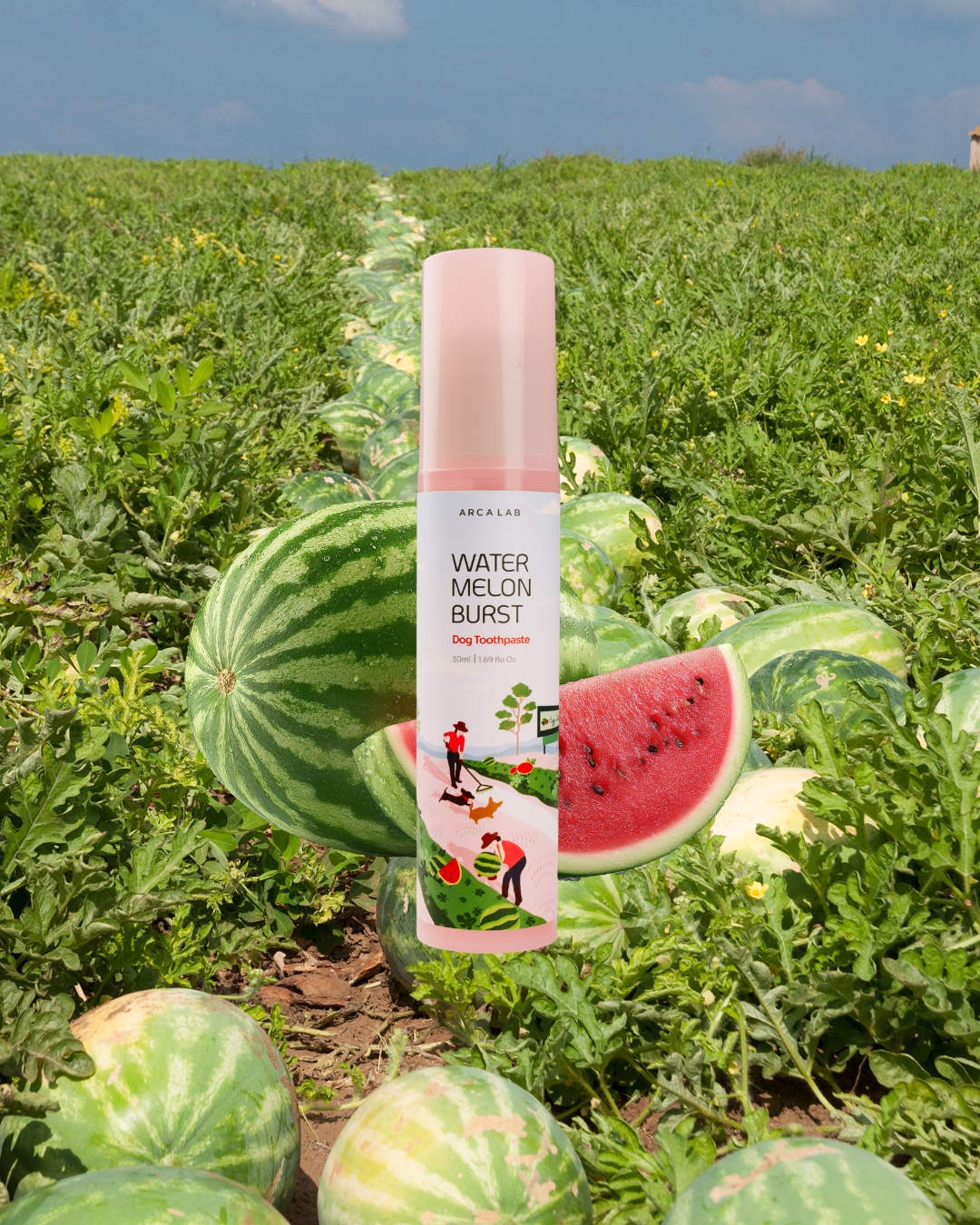 A bottle of Arca Lab Watermelon Burst Enzymatic Dog toothpaste is centered against a background of a watermelon field with whole and sliced watermelons under a blue sky.