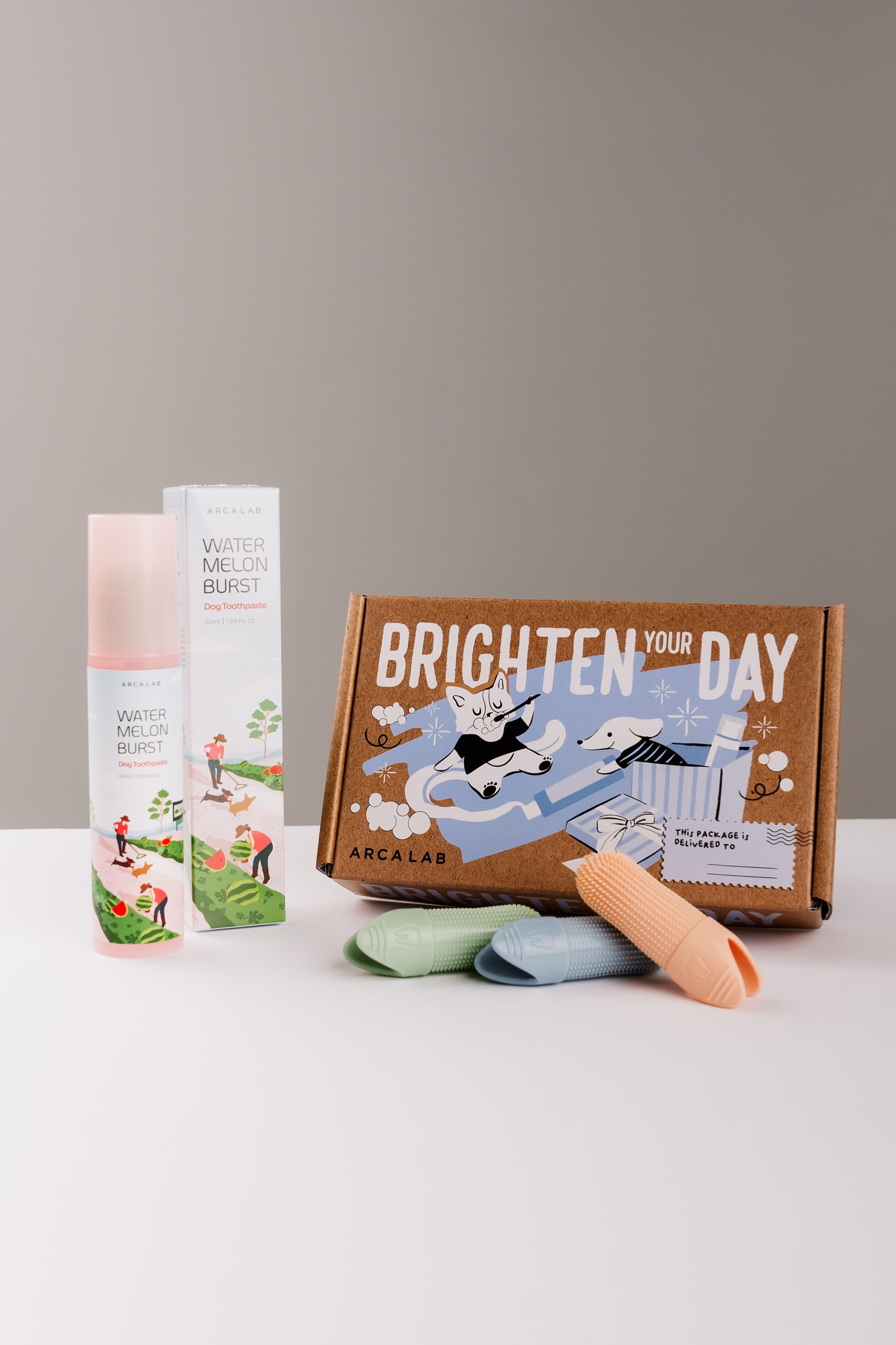 A dog toothpaste gift set from Arca Lab on a light gray surface against a neutral gray background. The set includes a Watermelon Burst Enzymatic Toothpaste bottle, its box, a brown illustrated cardboard gift mailing box reading 'BRIGHTEN YOUR DAY', and three finger brushes in crisp green, blue, and orange.
