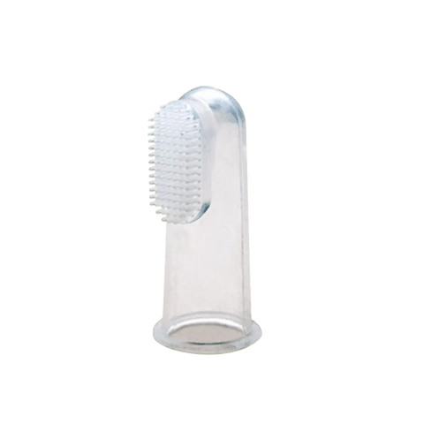 Conventional 3 toothbrushes